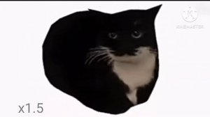 Maxwell cat на разных скоростях