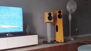 Audio Physic Tempo VI sound test
