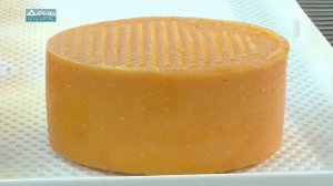 На раздатках нижегородской «Молочной кухни» появится новый полутвёрдый сыр «Качотта»