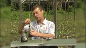 Приготовление рабочего раствора