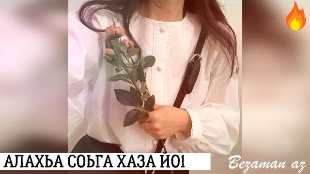 Мурад Дударов Алахьа Соьга Х1ай Хаза Йо1😍 смотреть онлайн