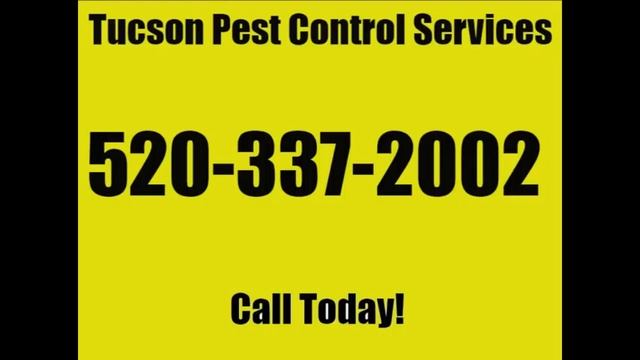 Tucson Pest Control Services Arizona