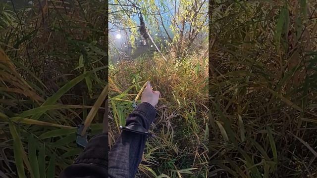 Слабонервных прошу пройти мимо #slingshotfishing #охотасрогаткой #рыбалкасрогаткой #рыбалка смотреть онлайн