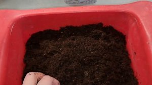 Кокосовый субстрат UGro Small Rhiza первое впечатление, страна-изготовитель Испания