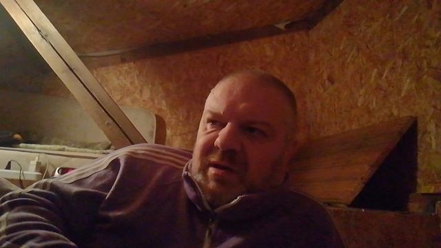 Секс: люди не являются собой. смотреть онлайн