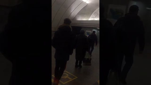 81-717.6 | Перегон от станции Ботанической до Проспект Космонавтов