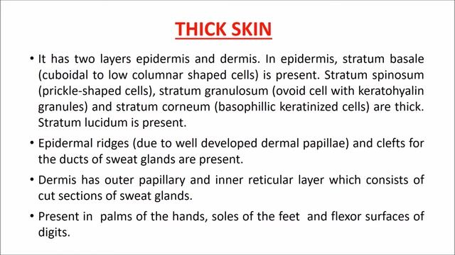 Skin Histology - Points of Identification смотреть онлайн