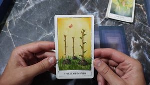 УДИВИТЕЛЬНАЯ АВТОРСКАЯ КОЛОДА "ИНСАЙТ ТАРО" Станислава Решетникова / обзор таро / обзор колоды