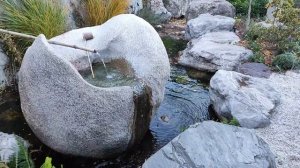 Японский сад в Партените, Крым, ноябрь 2024.