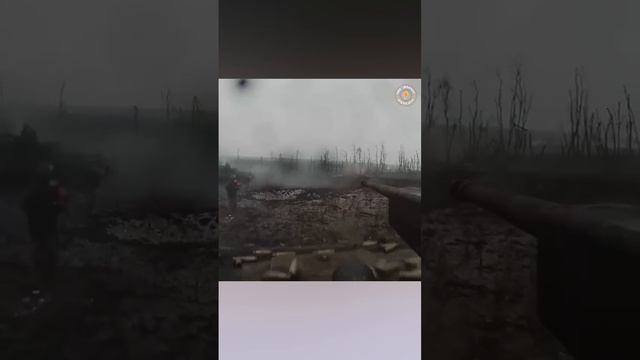 Свинорез-гуляночка