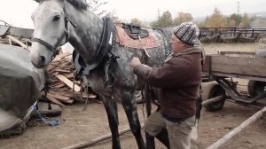 Гениальный ученый Анатолий Эдуардович Юницкий