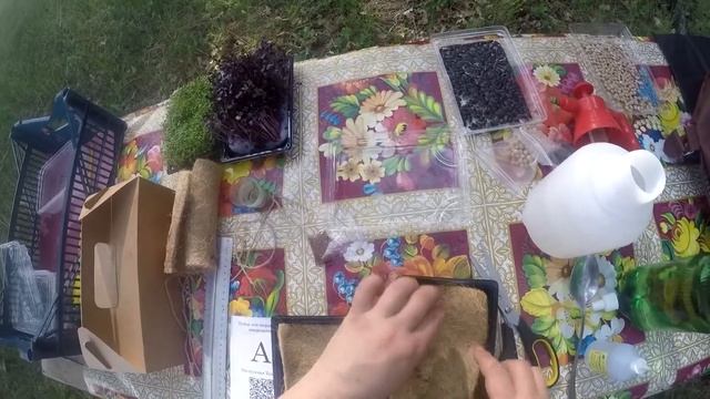 Набор для выращивание микрозелени "А" смотреть онлайн