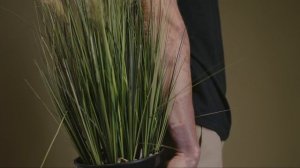 МИНИМАЛИЗМ | Как начать и достигнуть цели