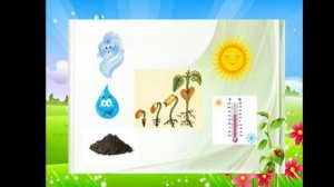 Жаратылыстану — Өсімдіктің өсуі үшін не қажет?