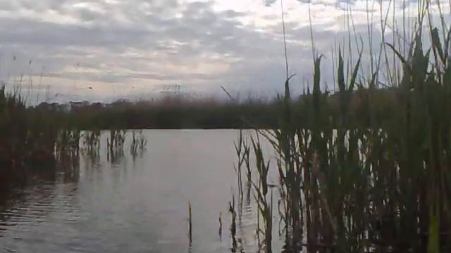 заводи