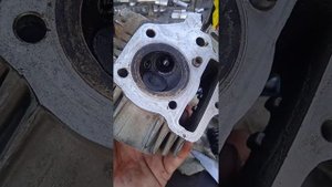 мотоцикл рейсер 110 куб ремонт