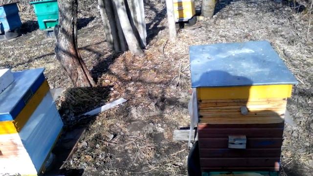 Нижегородские пчёлы. Набор инструмента начинающего пчеловода