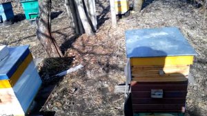 Нижегородские пчёлы. Набор инструмента начинающего пчеловода