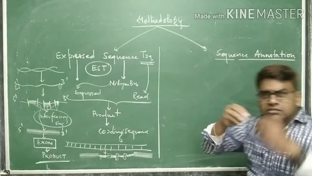 MOLECULAR BASIS OF INHERITANCE - HUMAN GENOME PROJECT - PART 9