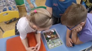 "В науку первые шаги". - Муравьиная ферма