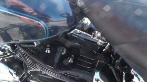 050531 - 2008 Harley Davidson Softail Custom FXSTC - Used Motorcycle For Sale