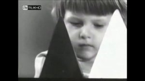 "обе белые" психологический эксперимент