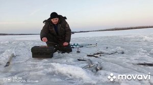 СУПЕР РЫБАЛКА НА  СИГ Пыжьян ,оторвал все!