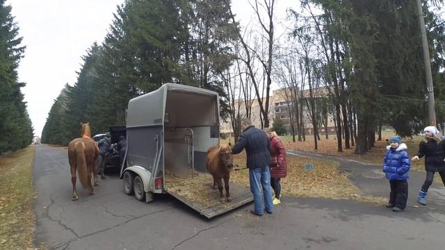 ПРОДАЁМ ШАРЫ) САНАТОРИЙ "ЕРИНО" ЧАСТЬ 3 смотреть онлайн