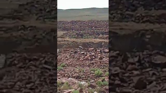 сарышаган. Добыча марганец(3)
