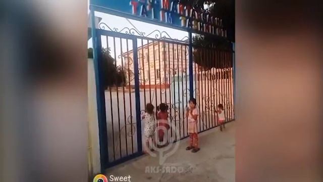 Зангиота тумани Назарбек қўрғони Ғишт завод маҳалласида 23-МТТ 3-4 йилдан бери ишламаётгани ҳақида смотреть онлайн