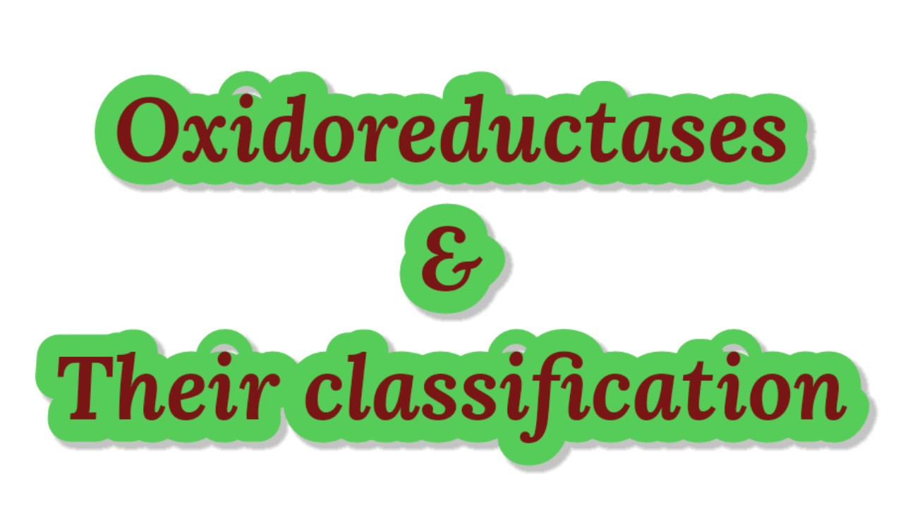 Oxidoreductase || Definition || Detailed Classification of oxidoreductases in Biochemistry