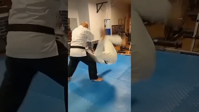 203_айкидо #shortsvideo #mma #judo #jiujitsu