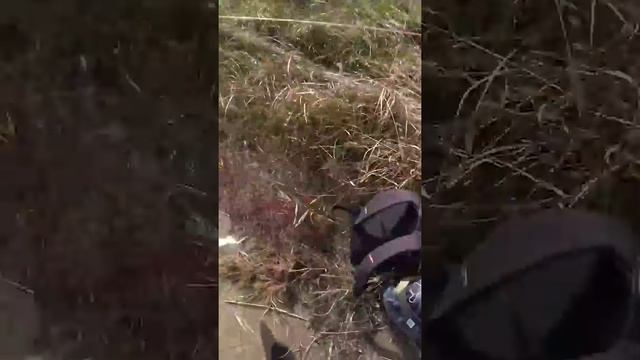 Осенняя охота на пеленгаса #slingshotfishing #охотасрогаткой #huntingrussia #рыбалкасрогаткой смотреть онлайн