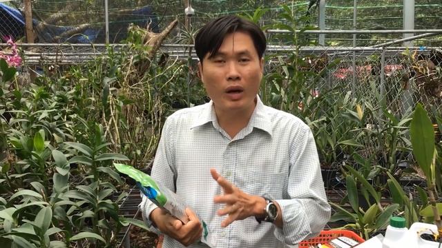 Cách để HOA LAN phát triển khỏe mạnh như có phép màu [ Mai Huy смотреть онлайн