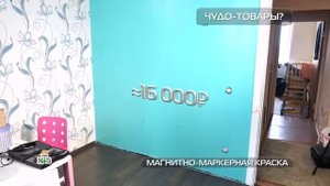 Наш маляр в передаче на ТВ (Чудо техники)