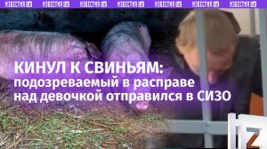 Надругался и кинул к свиньям: подозреваемого в убийстве девочки под Красноярском отправили в СИЗО