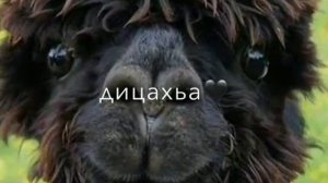 Атмосфера души Темнота love