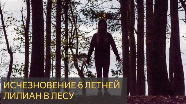 Исчезновение Лилиан ( Истории исчезновения 411)