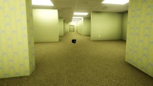 Maxwell The Cat Dance 360 in The Backrooms / 360 Video