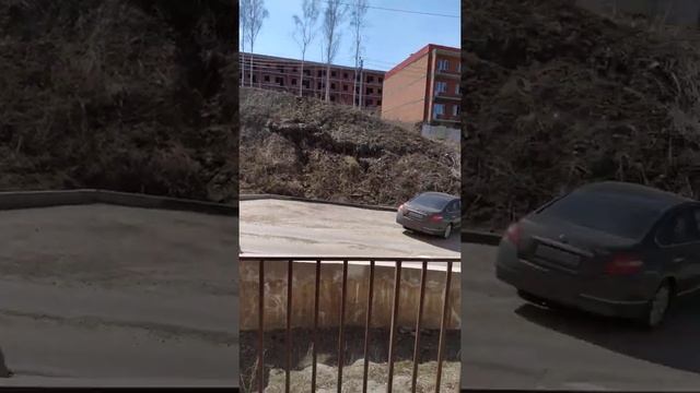 Иркутск березовый 210