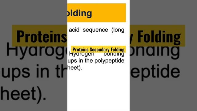 How Proteins Fold: The Secondary Structure of Proteins Explained