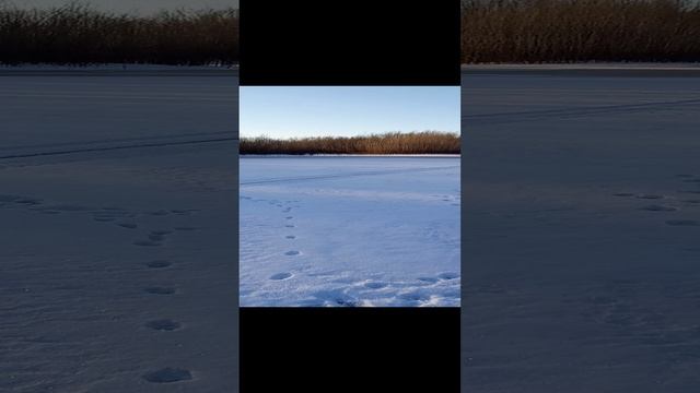 1000015688.mp4