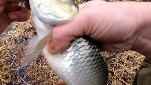 РЫБАЛКА НА ПОПЛАВОК У ДОМА!ОНИ ХОТЯТ СЛОМАТЬ МОЮ УДОЧКУ(((