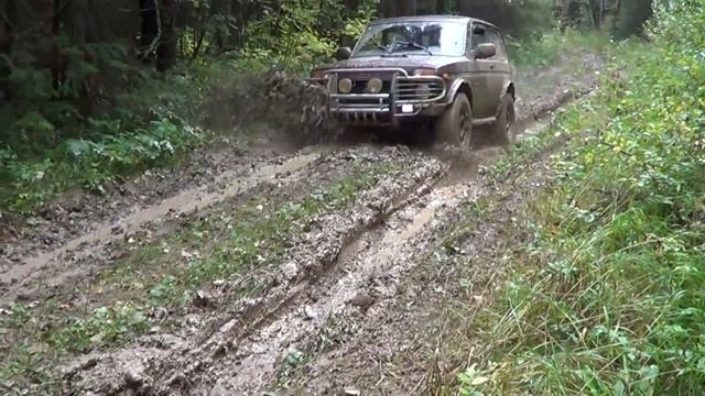 нива рысь в грязи