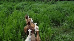 12719662_2560_1440_30fps