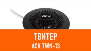 Распаковка твитера ACV TWN-13