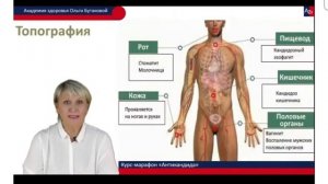 Спикер: Бутакова Ольга. Тема: "Кандида".