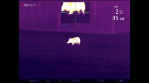 Pulsar Trail 2 XQ50 LRF