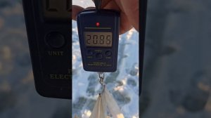 Рыбалка в Сибири озеро Салтаим