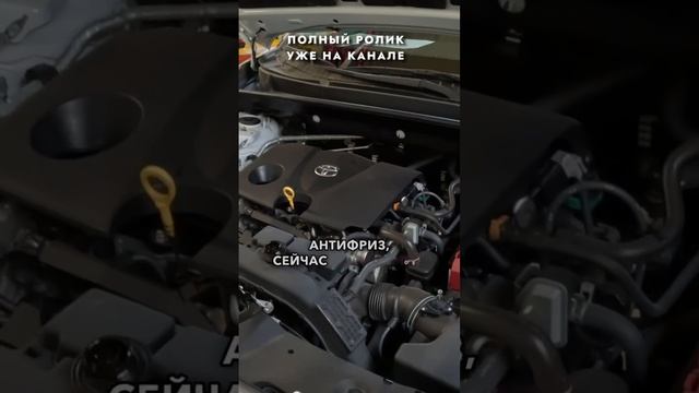 ПРИВЕЗЛИ RAV4 ПО НИЗУ РЫНКА❗️К счастливому владельцу Равчик приедет уже с номерами #shorts